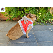 HARNAIS VESTE PERCY POUR BOULEDOGUE FRANCAIS