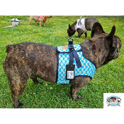 HARNAIS VESTE JAYDEN MILK & PEPPER POUR BOULEDOGUE
