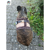 HARNAIS VESTE MONTY POUR BOULEDOGUE FRANCAIS 