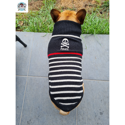 PULL PIRATE POUR CHIEN