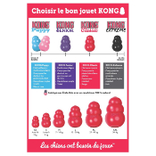 CLASSIC KONG POUR CHIEN