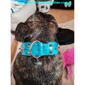 COLLIER REBELLE BLEU POUR BOULEDOGUE