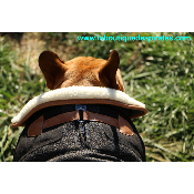 MANTEAU SULLIVAN POUR BOULEDOGUE