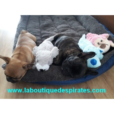 NOS PELUCHES POUR CHIOT