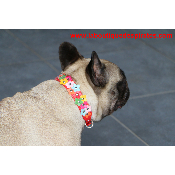 COLLIER A FLEURS BOULEDOGUE