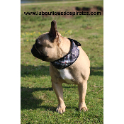 COLLIER RAFRAICHISSANT GRIS BOULEDOGUE