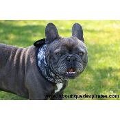 COLLIER RAFRAICHISSANT GRIS BOULEDOGUE