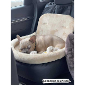 COSY CAR BLACK CONFORT CARAMEL  BOULEDOGUE