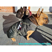 DOUDOUNE COL FOURRE AVEC HARNAIS PUPPIA