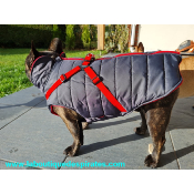 DOUDOUNE IMPERMEABLE AVEC HARNAIS PUPPIA