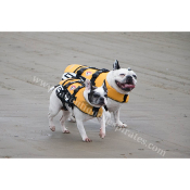 ezydog gilet de sauvetage