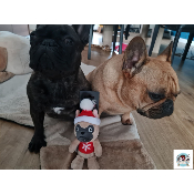 PELUCHE BOULEDOGUE FRANCAIS DE NOEL
