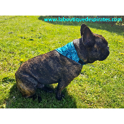 BANDANA CAPOEIRA POUR BOULEDOGUE