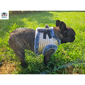 HARNAIS VESTE JUDY POUR BOULEDOGUE FRANCAIS MILK AND PEPER