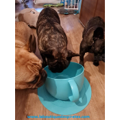 ENSEMBLE GAMELLE TASSE + SOUS TASSE POUR BOULEDOGUE