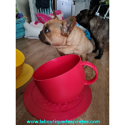 ENSEMBLE GAMELLE TASSE + SOUS TASSE POUR BOULEDOGUE