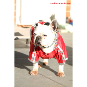 IMPERMEABLE BOULEDOGUE ROUGE OU NOIR