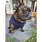 PULL KEELAN BLEU SPECIAL BOULEDOGUE FRANCAIS