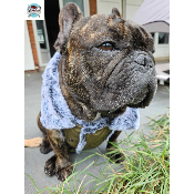 DOUDOUNE REVERSIBLE VICTOR SPECIAL BOULEDOGUE 