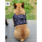 HARNAIS VESTE TORTUE MARINE POUR BOULEDOGUE