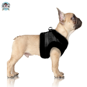 HARNAIS VESTE KURT MILK AND PEPPER POUR BOULEDOGUE