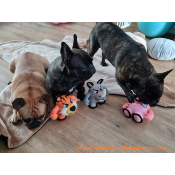 PELUCHE WARRIORS POUR BOULEDOGUE