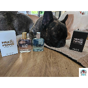 EAU DE PARFUM ESPRIT MILK ET ESPRIT PEPPER POUR BOULEDOGUE