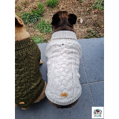 PULL ALLISTER POUR BOUELDOGUE