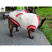 SWEAT SHERPA POUR CHIEN